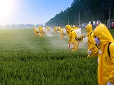 قیمت خرید آفت کش های ارگانوفسفره با فرش عمده