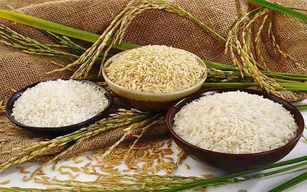 تصویر 4 از فروش برنج لاشه طارم هاشمی + قیمت خرید به صرفه