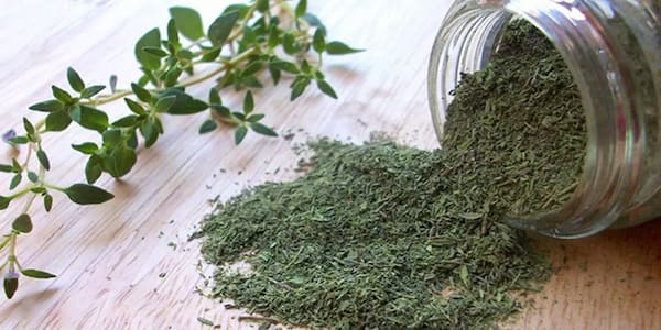 تصویر 6 از خرید آویشن باغی کازرون