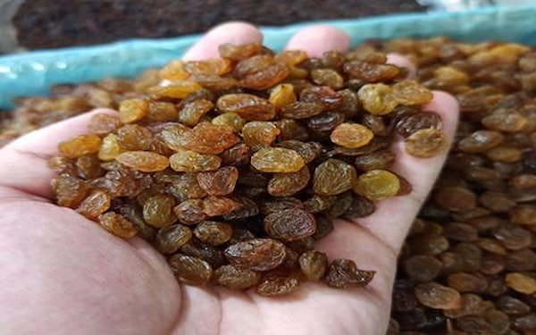 تصویر 4 از قیمت کشمش تیزابی بی دانه با کیفیت ارزان + خرید عمده