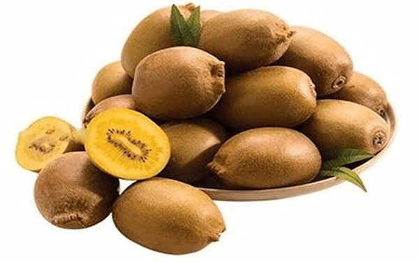 تصویر 3 از خرید کیوی هایوارد طلایی + قیمت فروش استثنایی