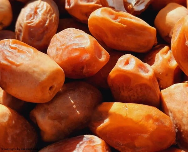 تصویر 1 از قیمت خرید خرما زاهدی تازه + فروش ویژه