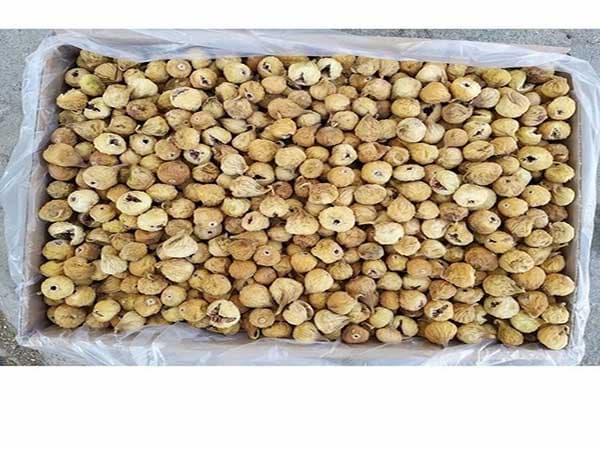 تصویر 4 از قیمت خرید انجیر خشک گرید AAA + فروش ویژه