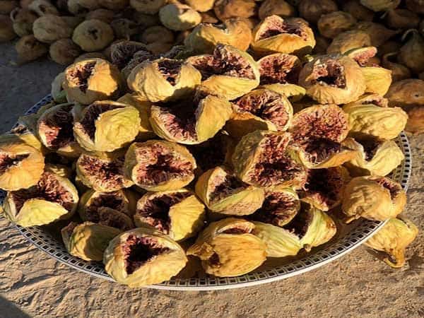 تصویر 5 از قیمت خرید انجیر خشک گرید AAA + فروش ویژه
