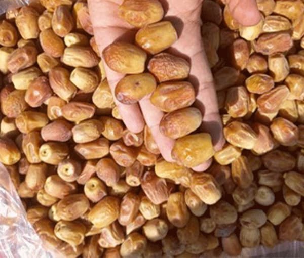 تصویر 1 از قیمت خرید خرما زاهدی صادراتی با فروش عمده