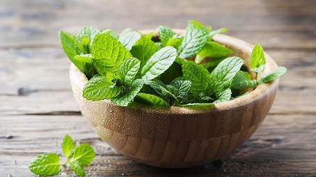 خرید سبزی نعناع