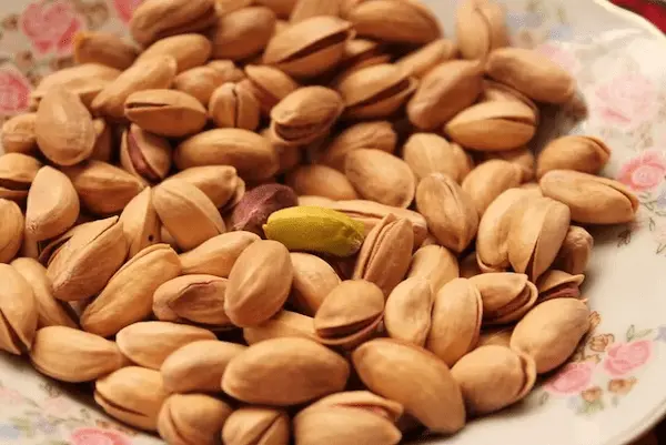 خرید پسته کله قوچی درشت + قیمت فروش استثنایی