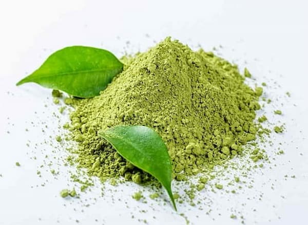تصویر 3 از فروش حنای سبز تازه + قیمت خرید به صرفه