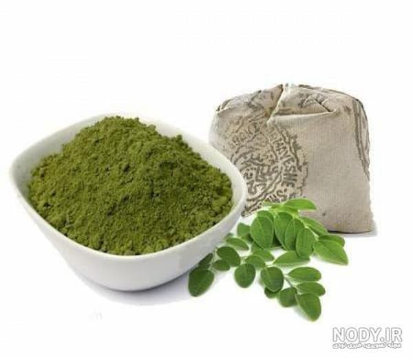 تصویر 5 از فروش حنای سبز تازه + قیمت خرید به صرفه
