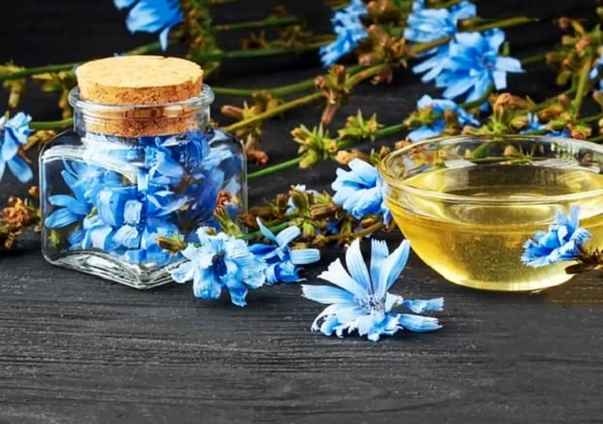 تصویر 1 از خرید و فروش شربت گیاهی کاسنی با شرایط فوق العاده