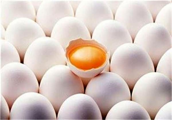 تصویر 5 از فروش تخم مرغ ماشینی درشت ساده + قیمت خرید به صرفه