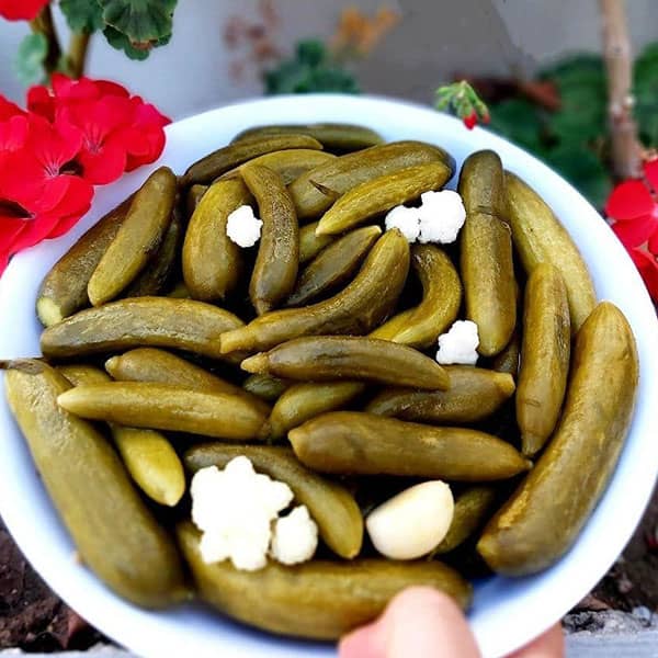 تصویر 5 از خرید خیار شور ویژه + قیمت فروش استثنایی