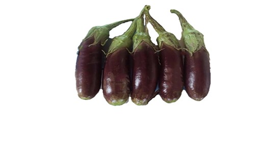 تصویر 2 از فروش بادمجان قلمی کوچک + قیمت خرید به صرفه