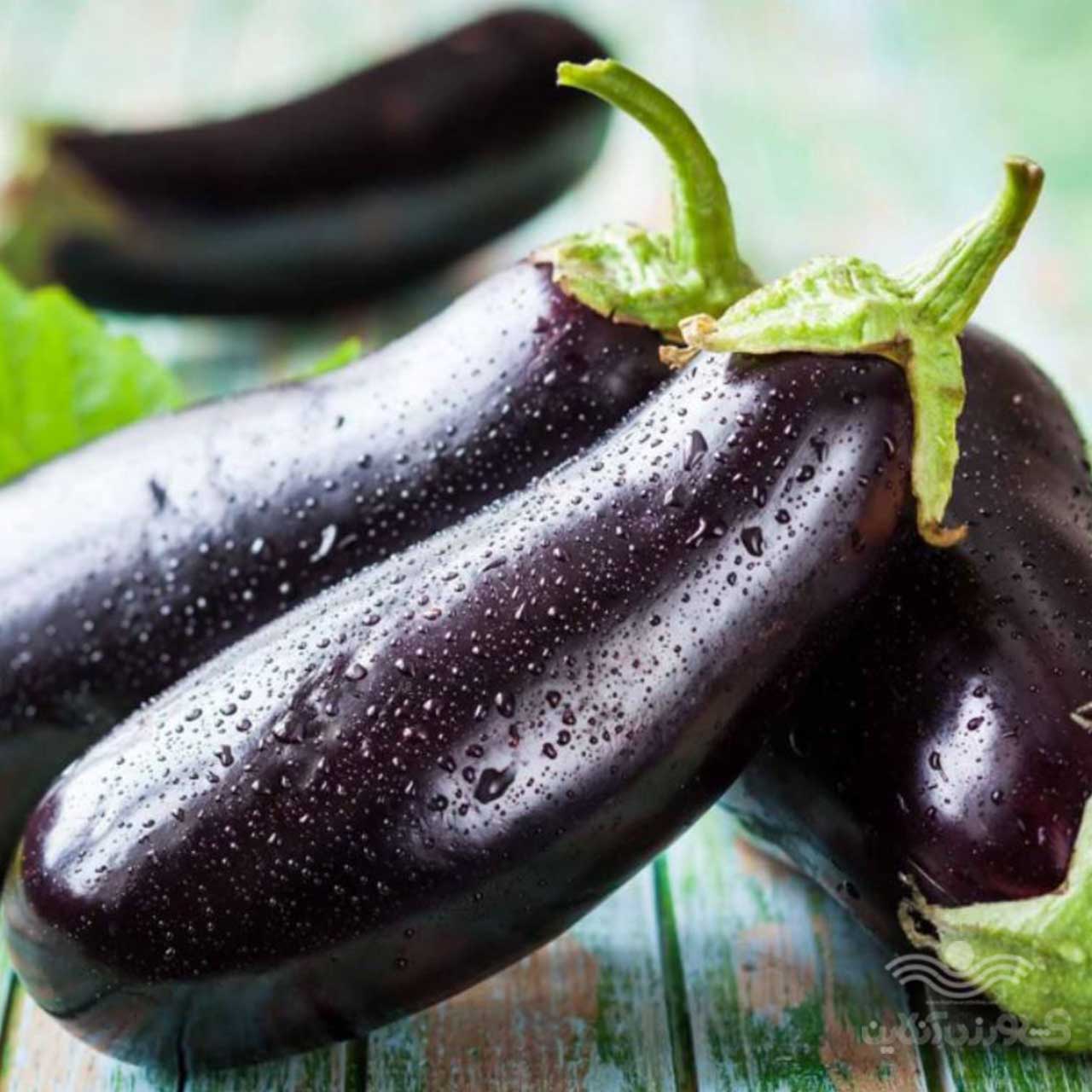 تصویر 4 از فروش بادمجان قلمی کوچک + قیمت خرید به صرفه