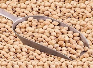 تصویر 1 از خرید نخود تازه کرمانشاه + قیمت عالی باکیفیت