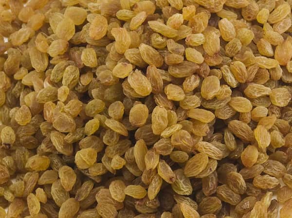 تصویر 3 از خرید کشمش تیزابی طلایی + قیمت فروش استثنایی