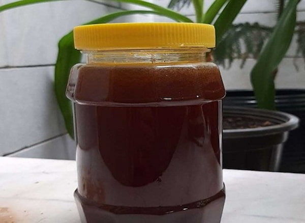 تصویر 5 از قیمت خرید عسل زرشک خراسانی با فروش عمده
