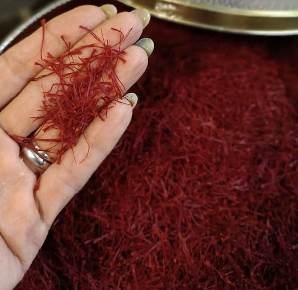 تصویر 1 از خرید زعفران قائنات اصل + قیمت فروش استثنایی