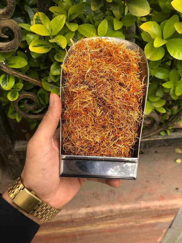 قیمت ریشه زعفران اعلاء + خرید باور نکردنی