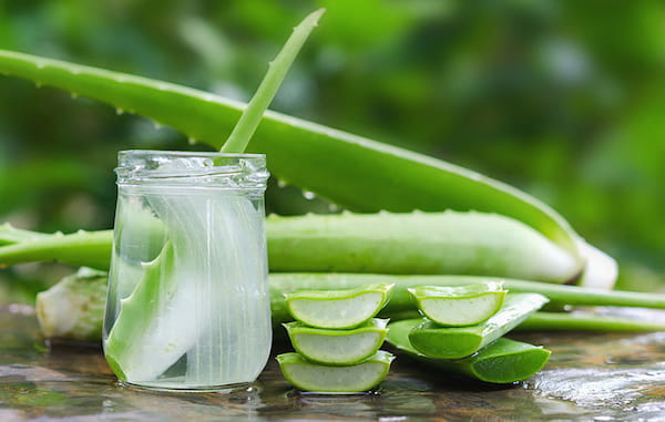 تصویر 3 از خرید برگ ژل آلوئه ورا + قیمت فروش استثنایی