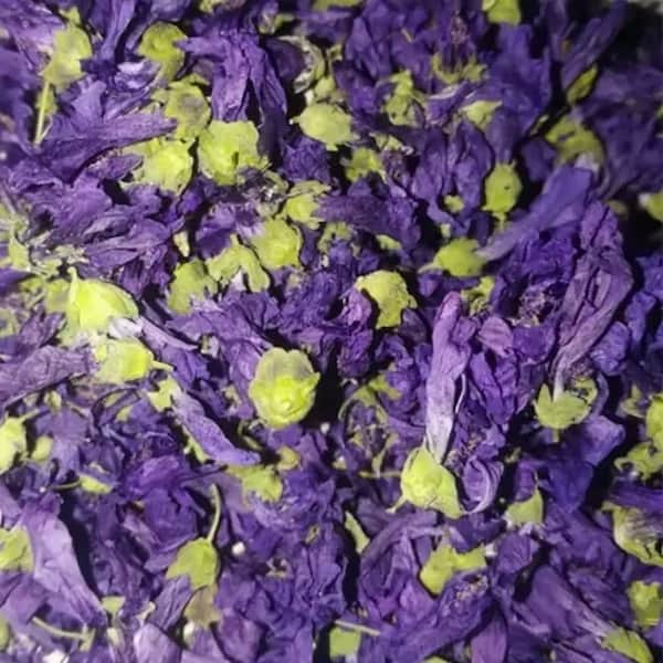 تصویر 2 از قیمت خرید گل ختمی بنفش خشک شده با فروش عمده