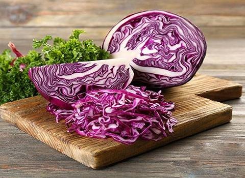 تصویر 2 از راهنمای خرید کلم پیچ بنفش + قیمت عالی