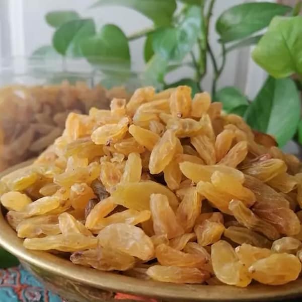 تصویر 4 از خرید و قیمت کشمش زرد کاشمر + فروش عمده