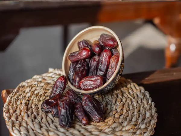 قیمت خرید خرما ربی بلوچستان + فروش ویژه