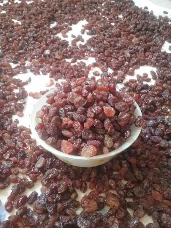 تصویر 1 از خرید و قیمت کشمش آفتابی عمده + فروش عمده