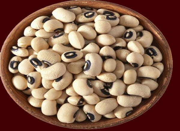 تصویر 3 از قیمت لوبیا چشم بلبلی شیرازی با کیفیت ارزان + خرید عمده