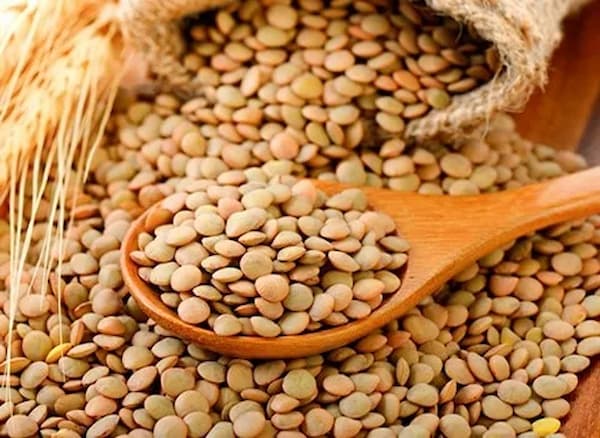 تصویر 4 از قیمت خرید عدس درشت ایرانی با فروش عمده