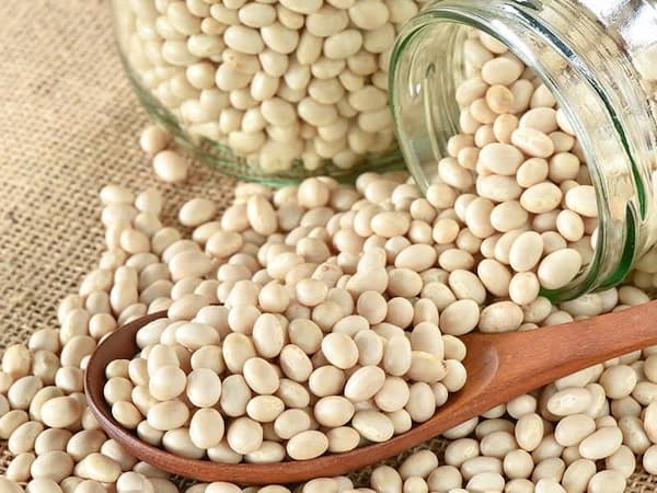 تصویر 3 از قیمت خرید لوبیا چیتی سفید عمده به صرفه و ارزان