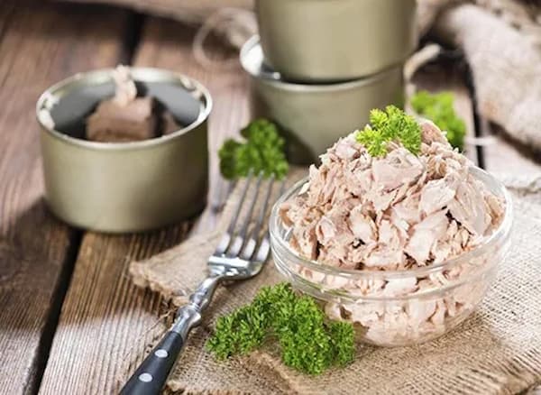 تصویر 2 از راهنمای خرید تن ماهی هوور جنوب + قیمت عالی