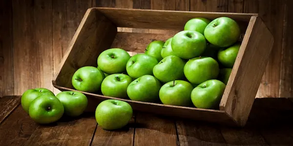 تصویر 1 از خرید سیب سبز از باغ ارومیه ارزان ترین قیمت + فروش عمده