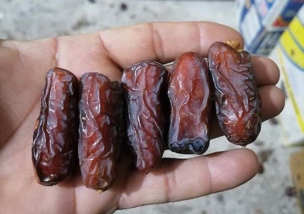 تصویر 5 از فروش خرما پیارم + قیمت خرید به صرفه