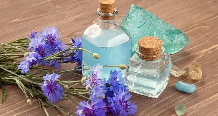 تصویر 5 از خرید شربت گیاهی کاسنی + قیمت فروش استثنایی