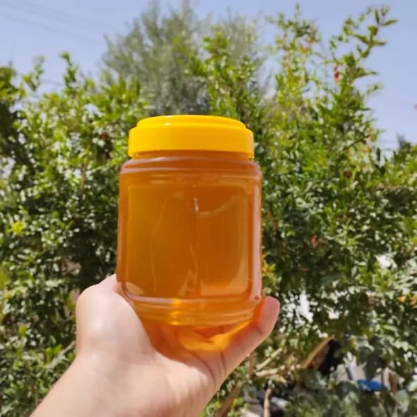 تصویر 1 از قیمت عسل طبیعی عمده + خرید باور نکردنی