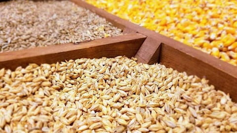 تصویر 3 از قیمت مکمل خوراک دام و طیور + خرید باور نکردنی