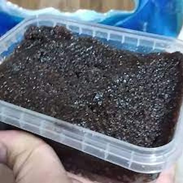 تصویر 3 از قیمت حلوا سیاه کره ای اردبیل + خرید باور نکردنی