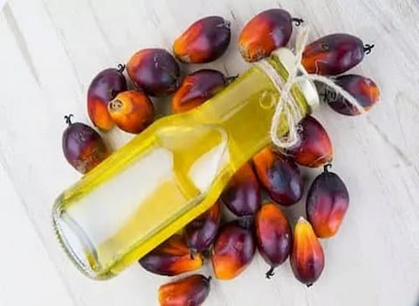 تصویر 5 از قیمت روغن هسته خرما با کیفیت ارزان + خرید عمده