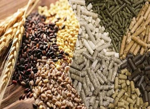 تصویر 5 از خرید و قیمت مکمل غذایی دام و طیور + فروش عمده