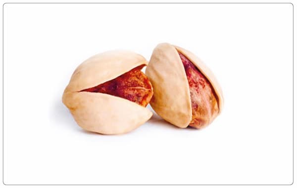 تصویر 1 از قیمت خرید پسته کله قوچی + فروش ویژه