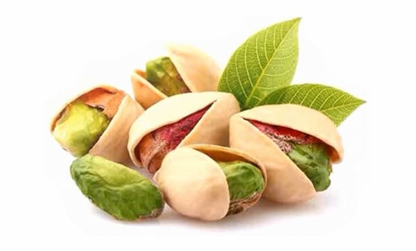تصویر 2 از قیمت خرید پسته کله قوچی + فروش ویژه