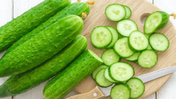 خرید خیار ریز