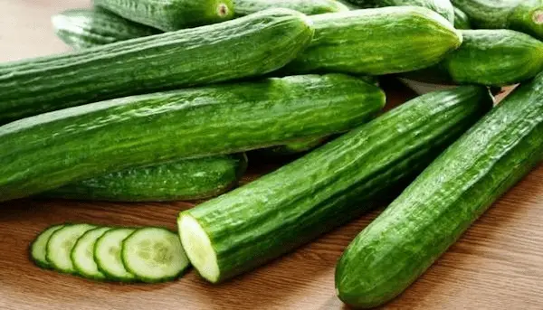 تصویر 1 از بهترین خیار بوته ای محلی + قیمت خرید عالی