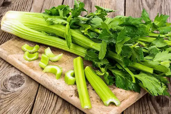 تصویر 3 از بهترین کرفس تازه ارگانیک + قیمت خرید عالی