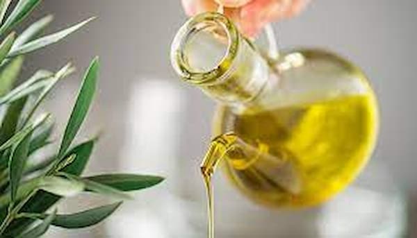 تصویر 3 از قیمت خرید روغن زیتون فرا بکر + فروش ویژه