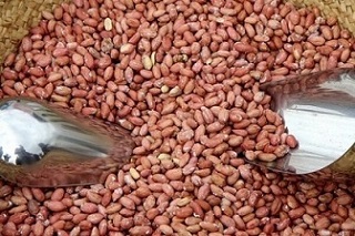 تصویر 2 از قیمت مغز بادام زمینی با کیفیت ارزان + خرید عمده