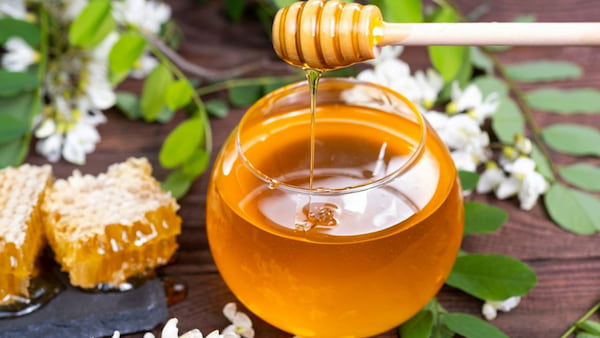 قیمت و خرید عسل بوقناق هاکان + فروش ارزان