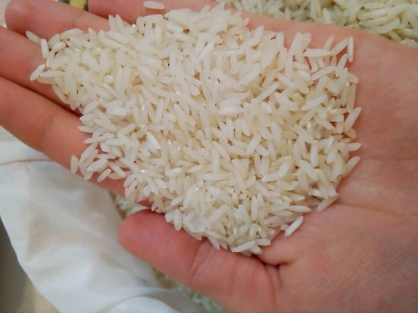 قیمت خرید برنج عنبر بو اصل با فروش عمده